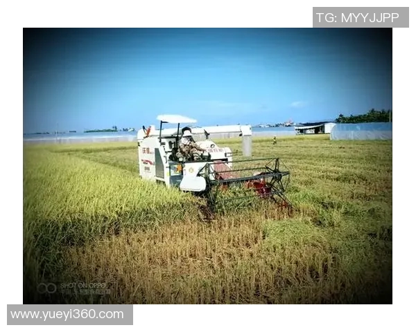 崔永熙的艺术人生与时代变迁的深刻交融探讨 崔永熙的艺术人生与时代变迁的深刻交融探讨