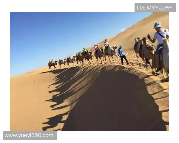 驼铃户外探险之旅带你领略自然之美与心灵的自由 驼铃户外探险之旅带你领略自然之美与心灵的自由